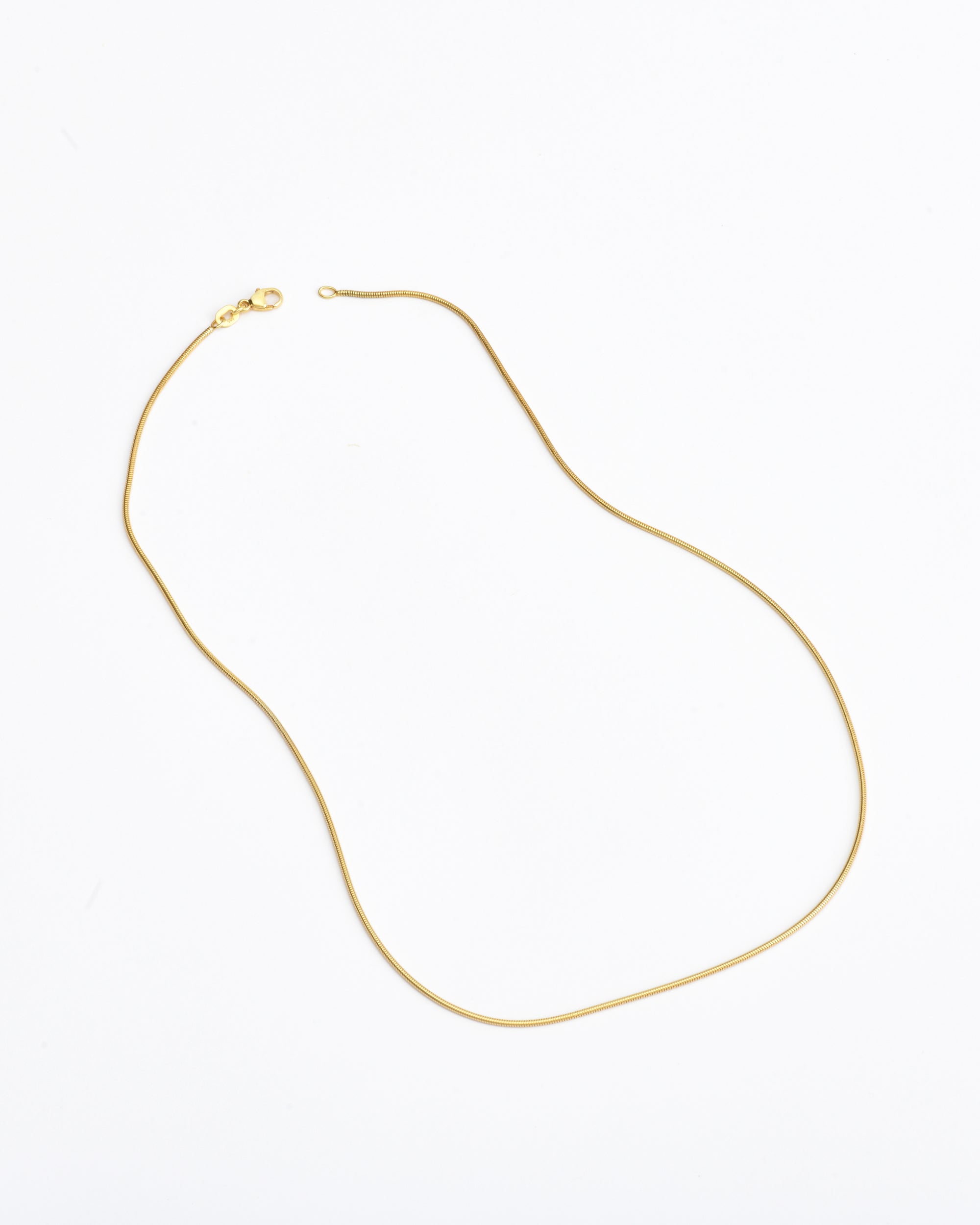 Little Everyday Snake Chain Necklace | 14K Gold
