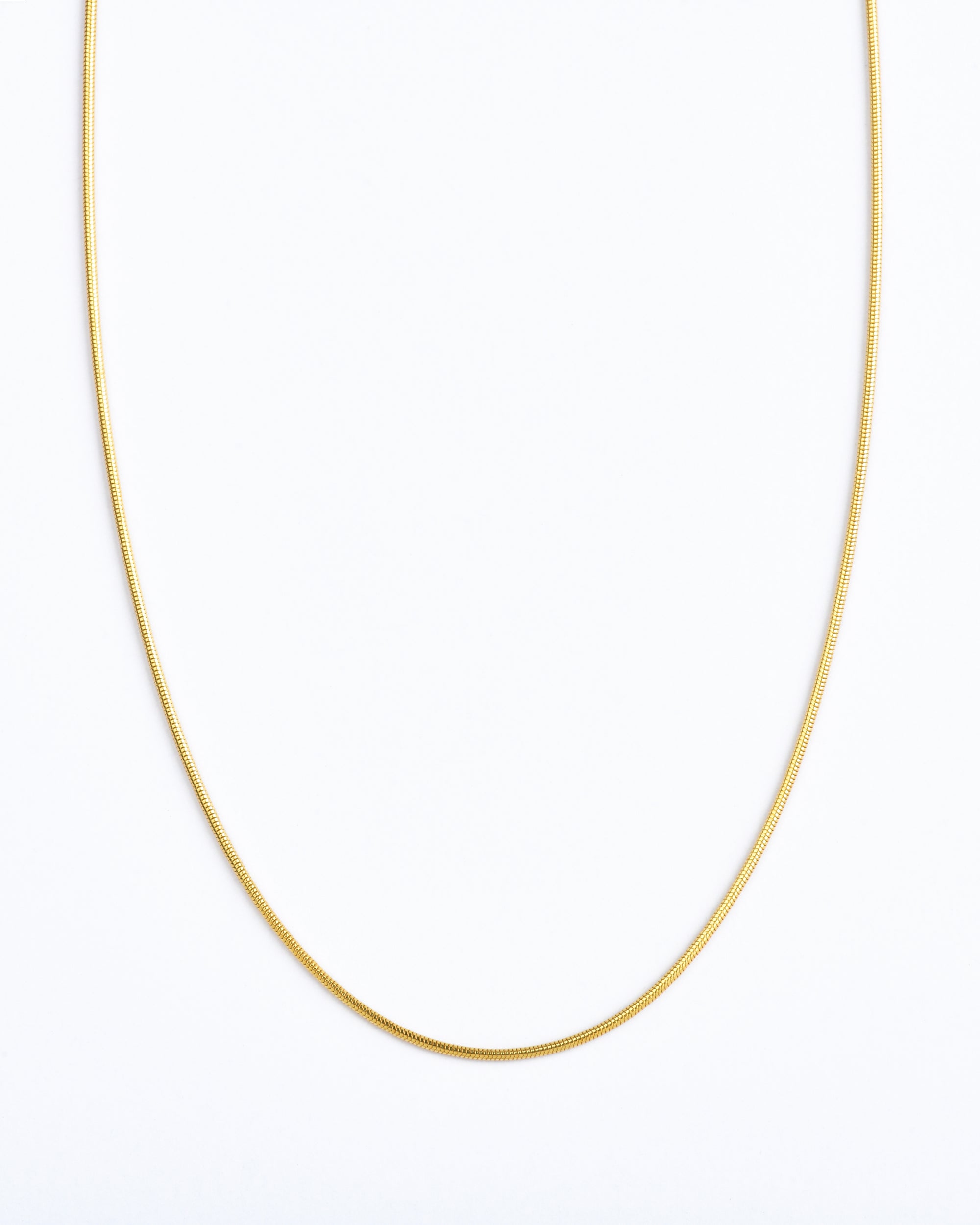 Little Everyday Snake Chain Necklace | 14K Gold