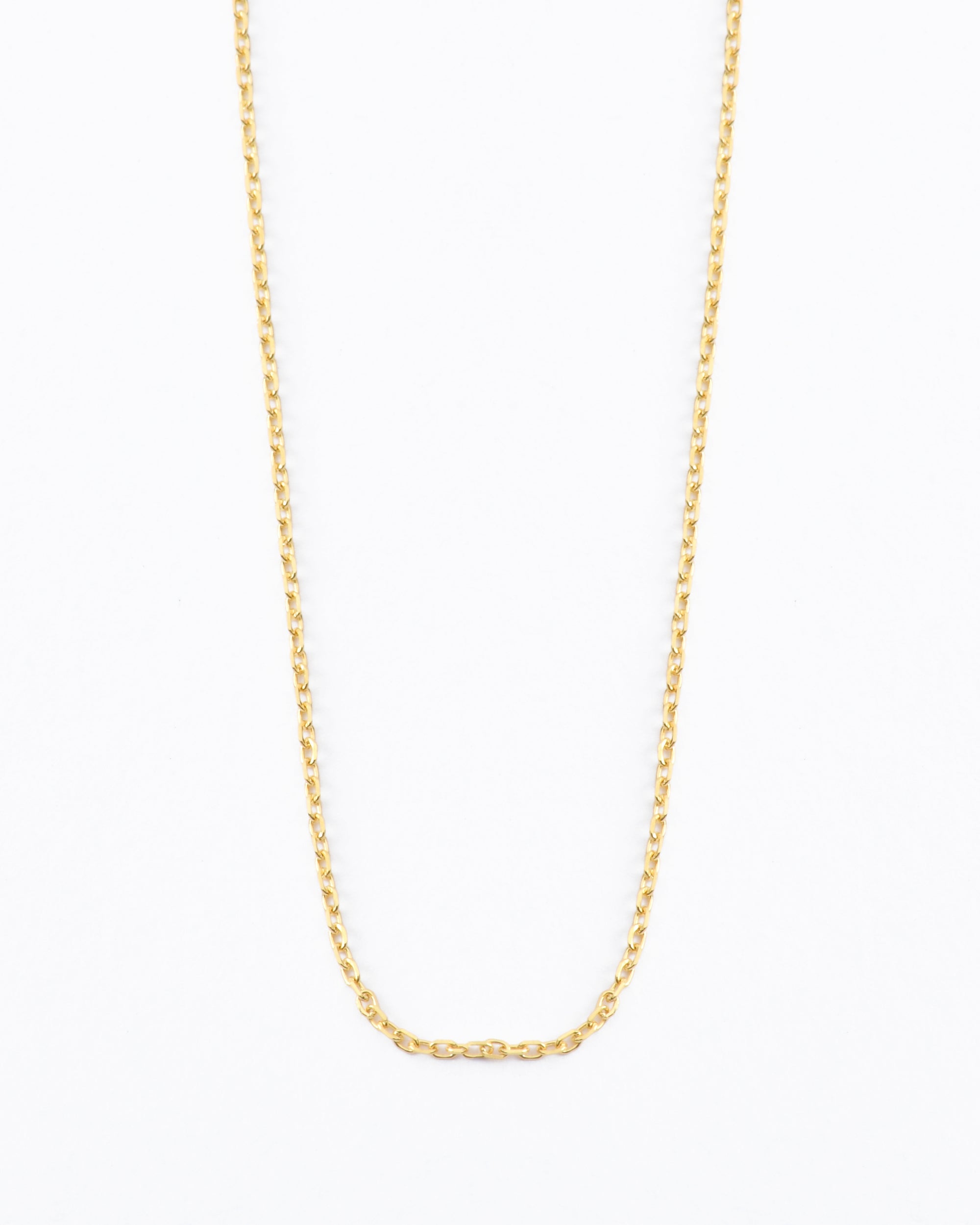 bevel cut cable chain in 14k solid gold on white background