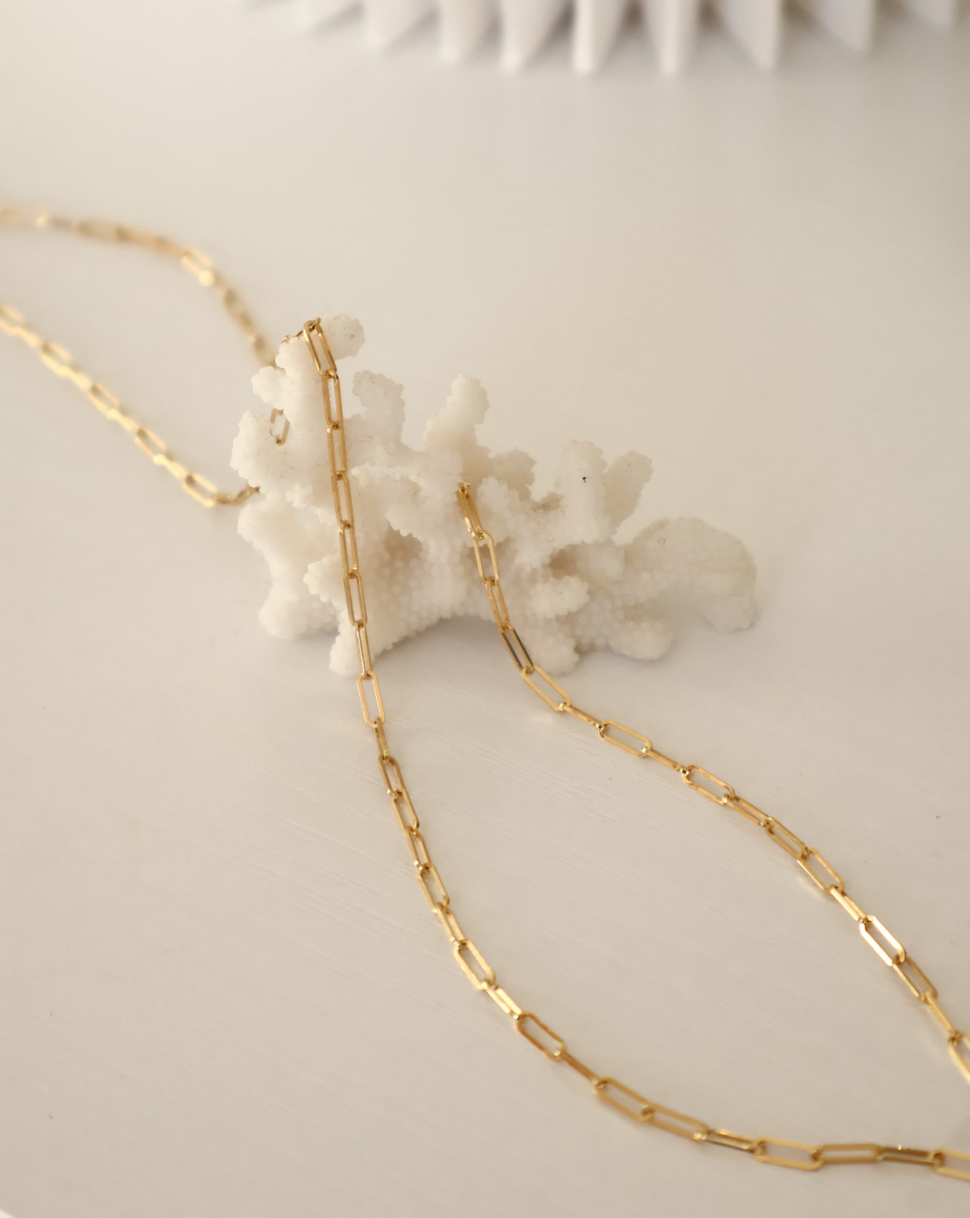 Petite Paperclip Necklace | 14K Gold