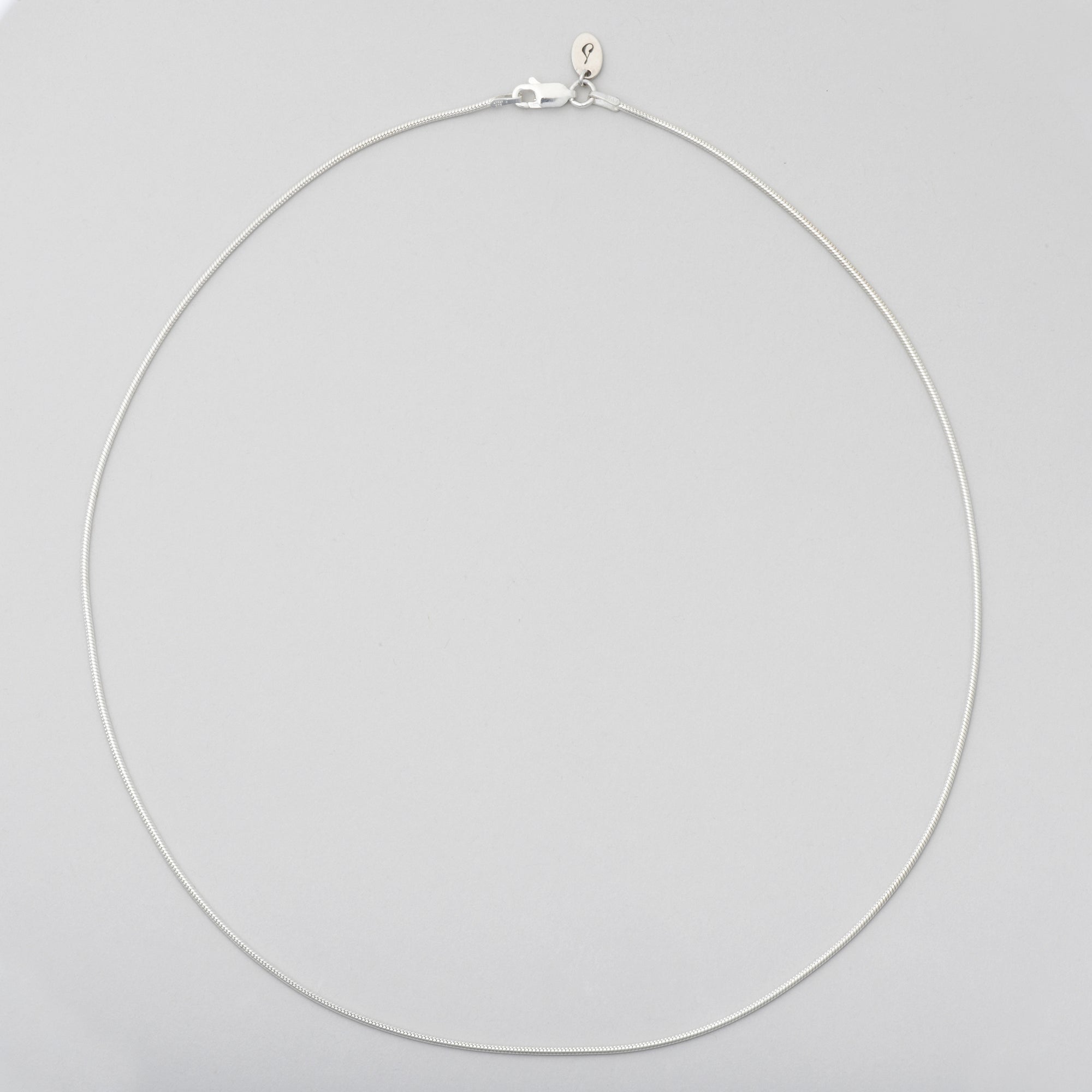 Little Everyday Snake Chain Necklace