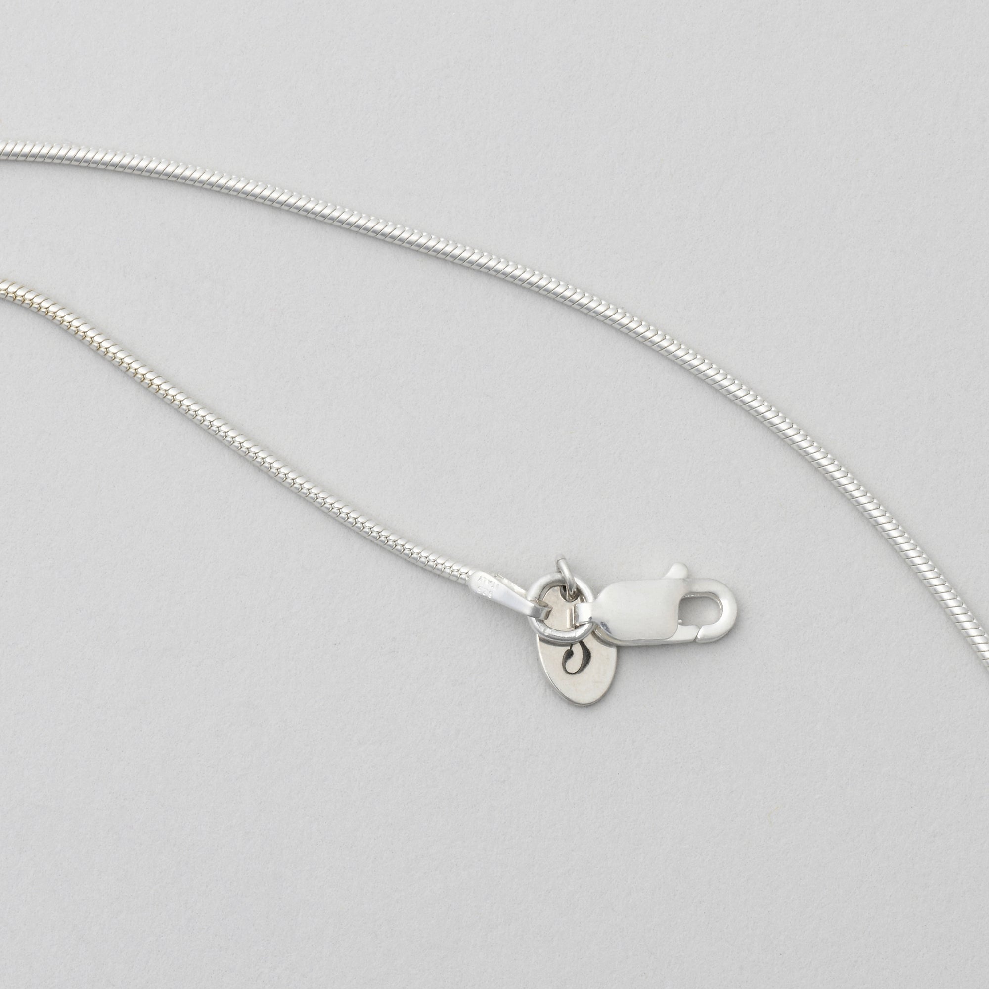 Little Everyday Snake Chain Necklace